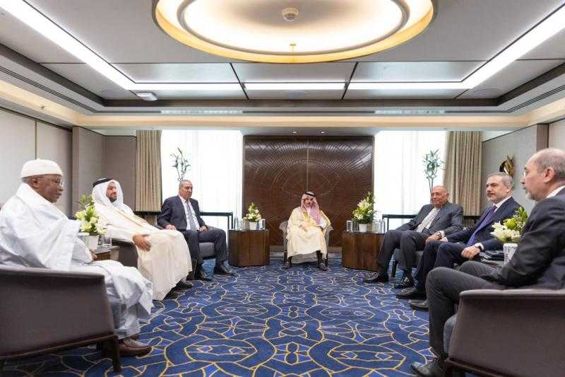 اللجنة الوزارية العربية: قطاع غزة جزء لا يتجزأ من الأرض الفلسطينية المحتلة