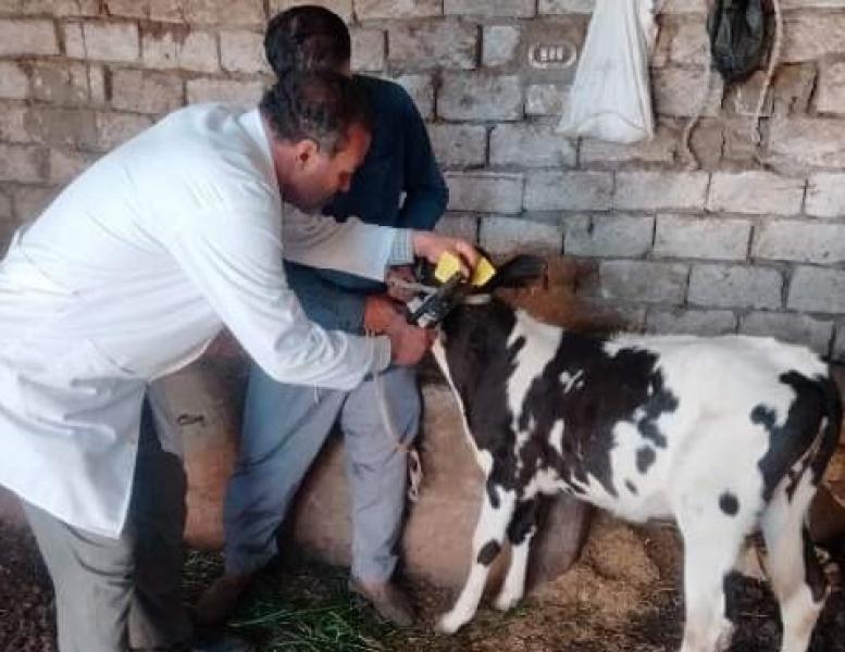 خط أحمر