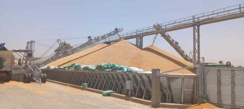 توريد 18 ألف و270 طن قمح لصوامع وشون سوهاج