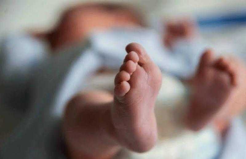 أمينة الفتوى: يجوز تأجيل الإنجاب في هذه الحالات