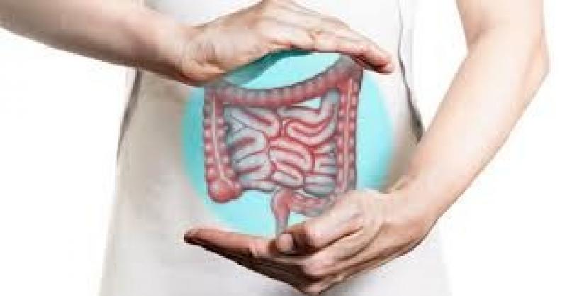 أستاذ بالمركز القومي للبحوث توضح أسباب الإمساك وطرق علاجه