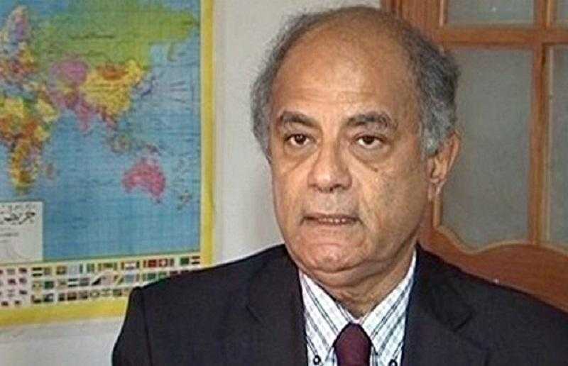 حسين هريدي: مصر دولة صلبة بموقعها ودورها الذي تقوم به حاليًا