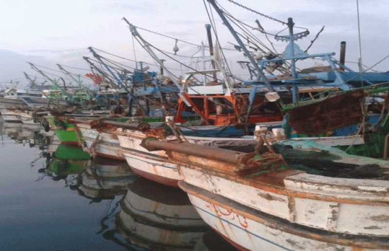 اضطراب الملاحة وحركة الصيد الخارجية.. حالة الطقس في كفرالشيخ