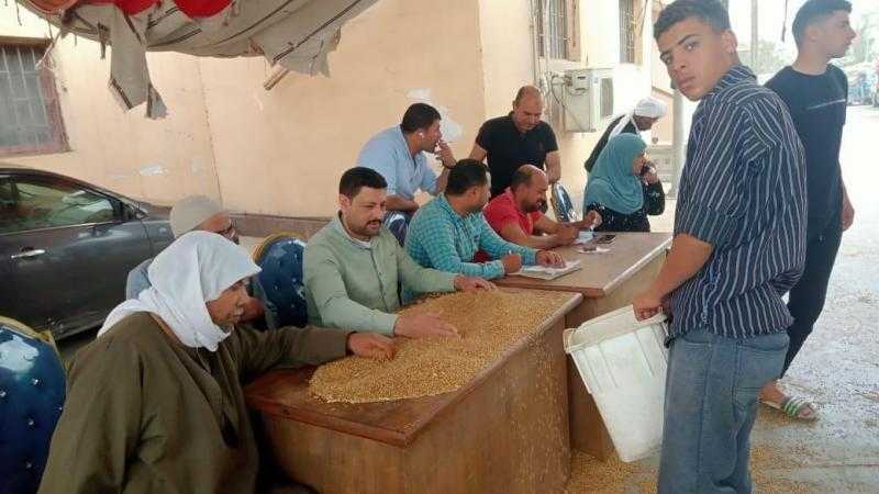 محافظ كفرالشيخ: استلام 124 ألف طن قمح حتى الآن