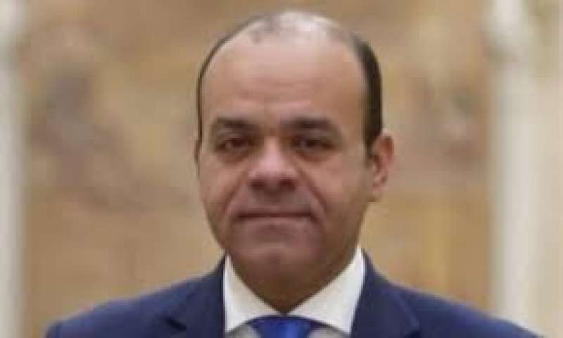النائب عمرو القماطي