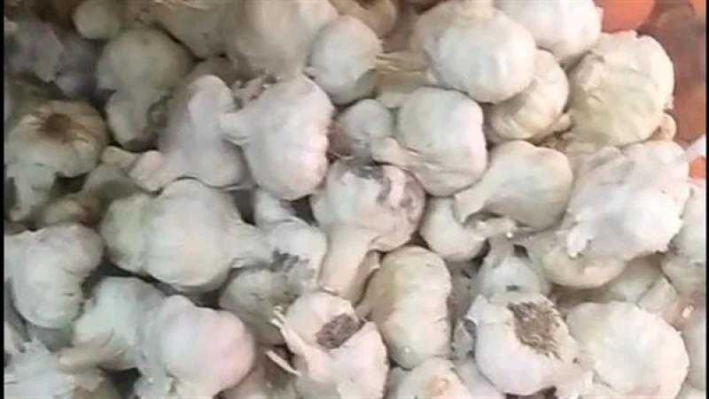 ‎نقيب الفلاحين يحذر من وصول سعر الثوم لـ150 جنيها.. لابد من ‎خطة زراعية لتحديد متطلبات التصدير والسوق المحلية