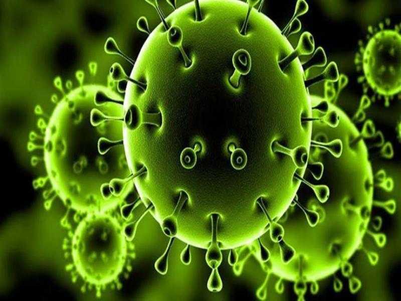 عادل خطاب: فيروس كورونا أصبح مثل الأنفلونزا خلاص ده موجود معانا