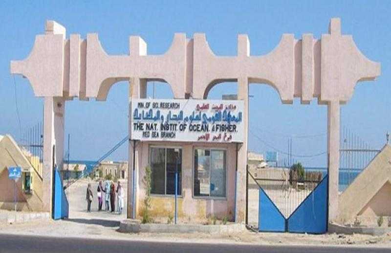 «علوم البحار» ينفذ مشروعات بحثية لتعويض النقص في إنتاج الأعلاف