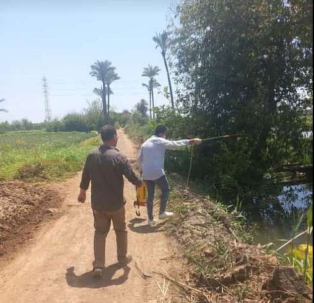 خط أحمر
