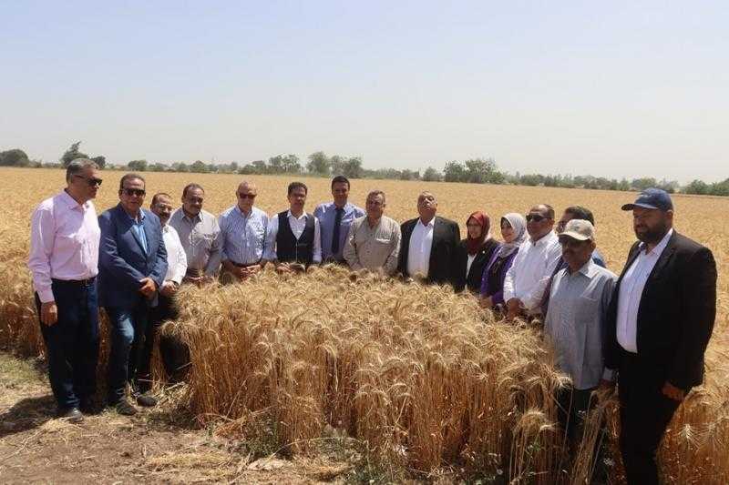 محافظ القليوبية ورئيس جامعة بنها يفتتحان موسم حصاد القمح ويتفقدان الوحدات الإنتاجية بكلية الزراعة
