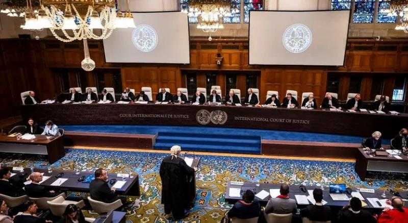 نائب رئيس حزب المؤتمر: التحرك المصري أمام العدل الدولية مكسب للقضية الفلسطينية