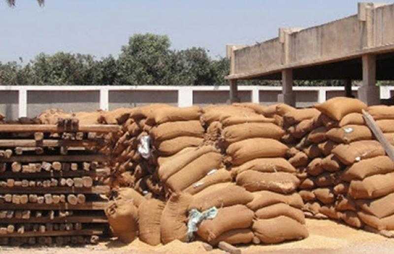 ارتفاع توريد محصول القمح لصوامع وشون سوهاج إلى 62 ألف طن| صور