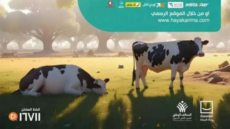 حياة كريمة تعلن تفاصيل صكوك الأضاحي