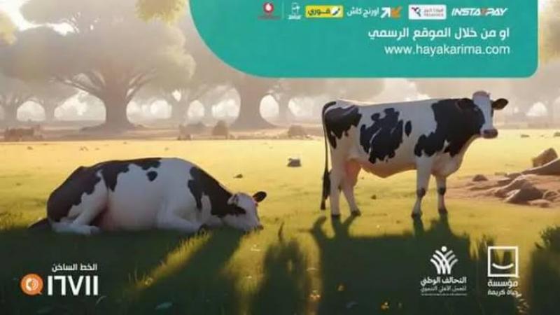 الخير واحد في البيوت.. «حياة كريمة» تعلن تفاصيل صكوك الأضاحي
