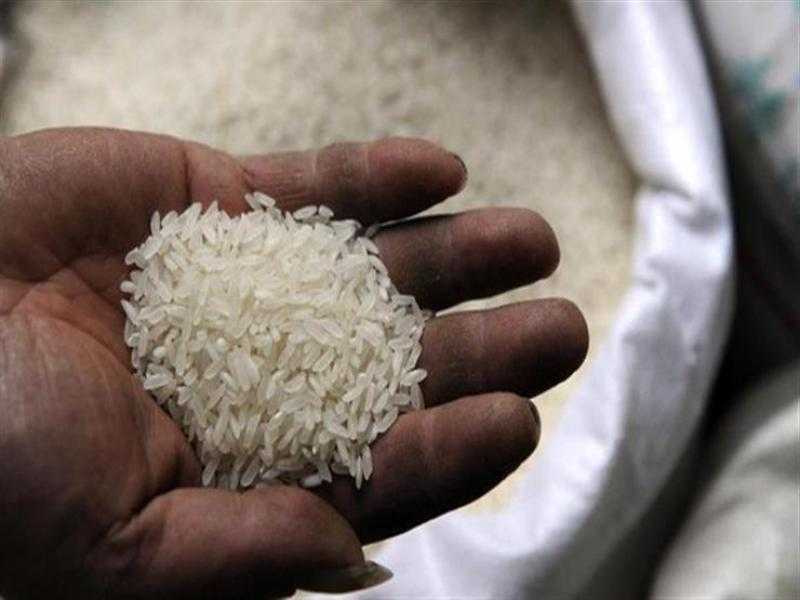 مصر تحتل المركز الأول على مستوى العالم فى إنتاجية الأرز