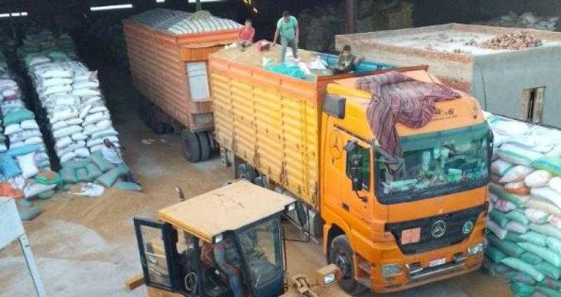 استلام أكثر من 190 ألف طن قمح محلي بمواقع التوريد المختلفة بمحافظة كفر الشيخ