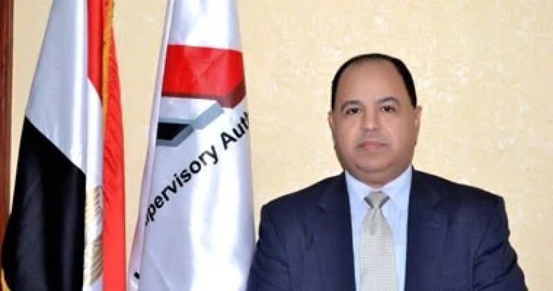 وزير المالية: حريصون على توفير تمويلات ميسرة من شركاء التنمية الدوليين للقطاع الخاص في مصر