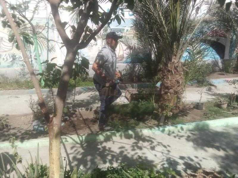 محافظ كفر الشيخ: زراعة 4500 شجرة مثمرة بالوحدات المحلية والمدارس ببيلا