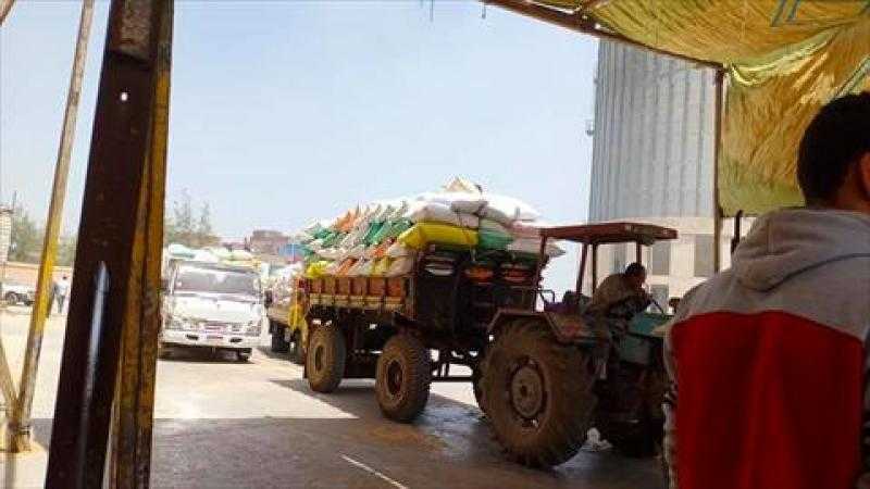 وكيل الزراعة بالوادي الجديد: توريد أكثر من 310 آلاف طن قمح داخل وخارج المحافظة