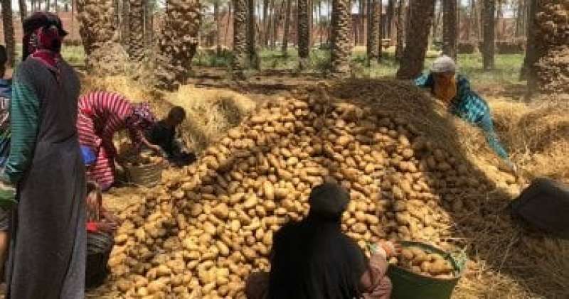 صورة ارشيفية