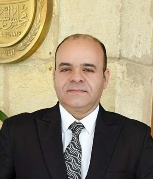 عمرو القماطي