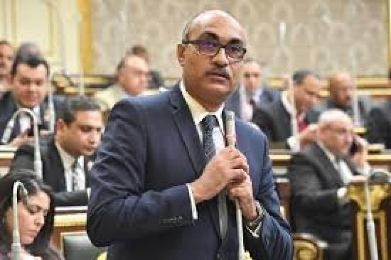 النائب إيهاب منصور: ضعف الرقابة سبب تكرار حوادث المعديات