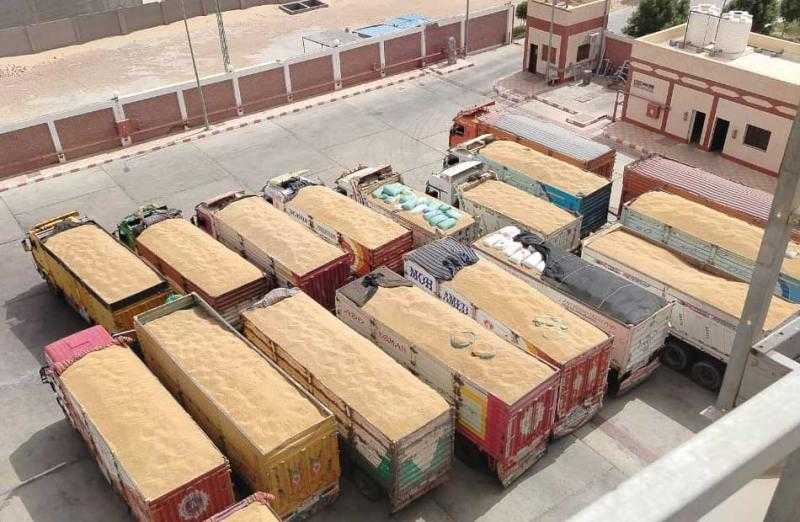 محافظ الغربية يوضح إجمالى القمح المورد إلى الشون والصوامع