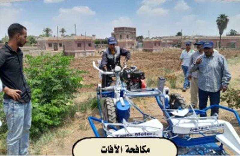 «الزراعة في أسبوع».. افتتاح معرض زهور الربيع .. ولقاءات الوزير .. ونشاطات مركز البحوث الزراعية