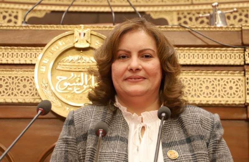 النائبة الدكتورة عايدة نصيف