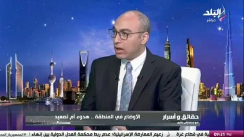 الشيمى: مصر اتخذت كل أدوات الضغط على إسرائيل لإيجاد حل سلمى