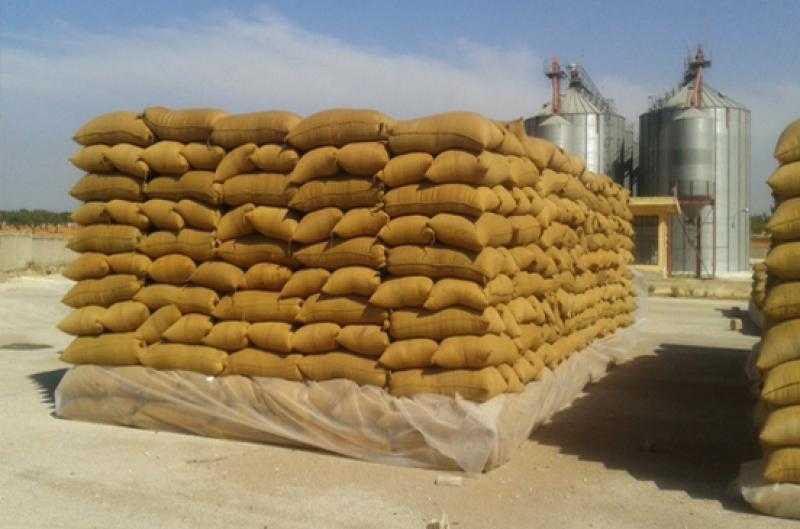 شون محافظة البحيرة تستقبل 218 ألف طن قمح
