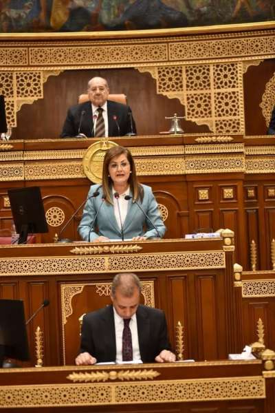 وزيرة الاستثمار في مجلس الشيوخ