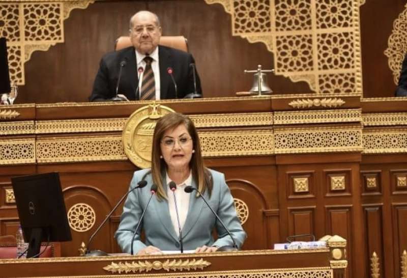 وزيرة الاستثمار في مجلس الشيوخ