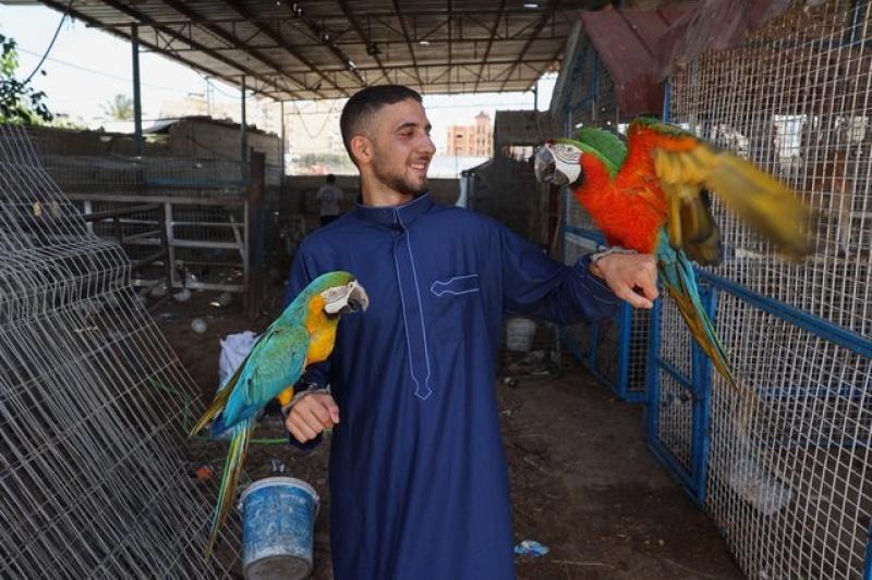 رغم الحصار حارس حديقة حيوانات غزة يقيم مأوى لعشرات الحيوانات بعد إنقاذها.. صور