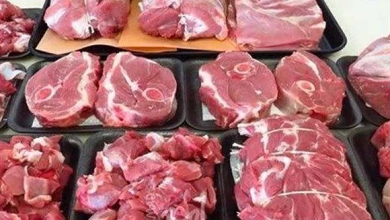 التموين: توفير 20 ألف رأس ماشية مستوردة و2400 طن من الفراخ