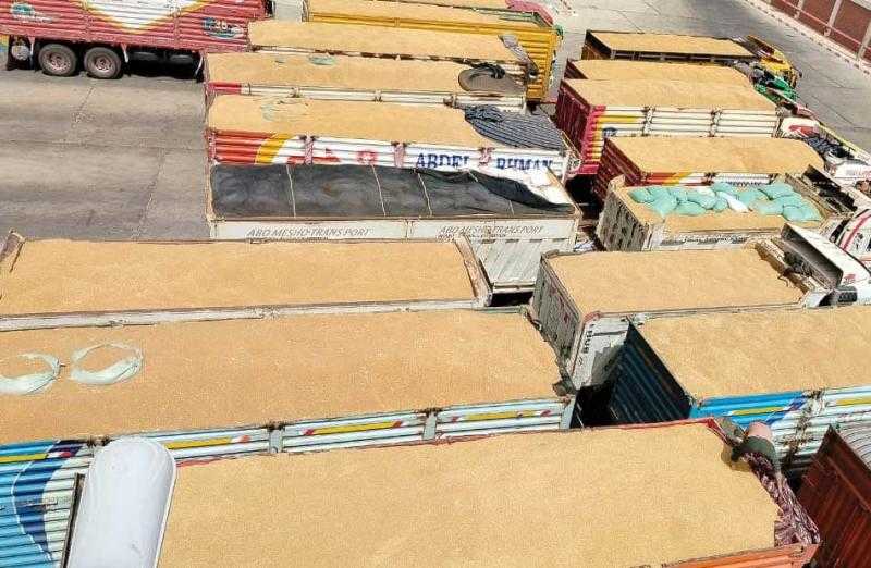 شون محافظة البحيرة تستقبل 220 ألف طن قمح