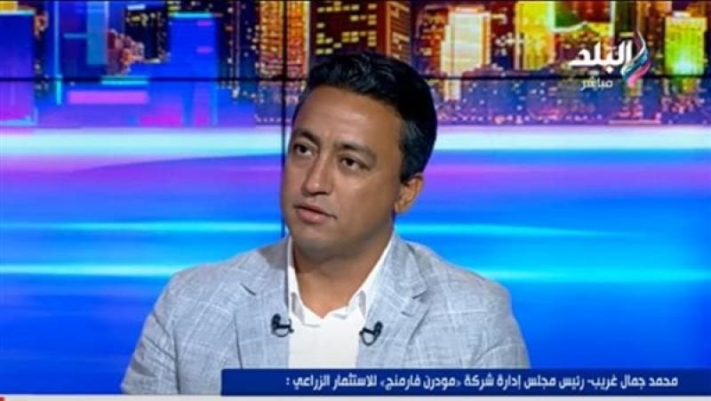 رئيس ”مودرن فارمنج”: حصلنا على العديد من سلالات الأغنام من إفريقيا وإسبانيا