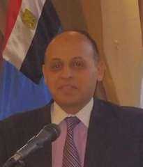 الدكتور أحمد عبود يكتب: مصر أول داعم للقضية الفلسطينية