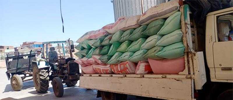 شون محافظة البحيرة تستقبل 223 ألف طن قمح