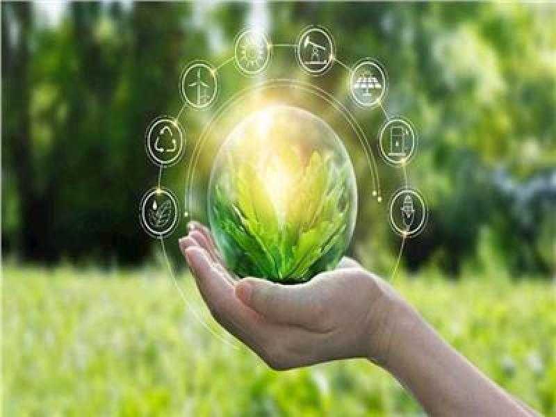 محافظ الأقصر يعلن نجاح المرحلة الثالثة لمبادرة المشروعات الخضراء