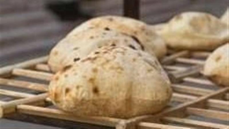 شعبة المخابز: «مش هنقدر نعمل حاجة غير أما نعرف اللى لينا واللى علينا»