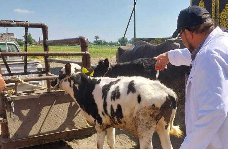 فحص 3016 طائرًا ورأس ماشية خلال قافلة بيطرية في الغربية| صور