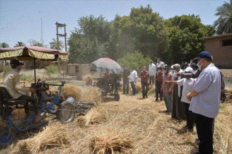 صوامع الشرقية تستقبل 602 ألف طن قمح حتى الآن