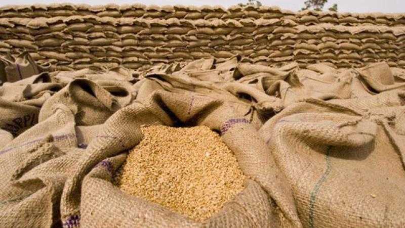 محافظ كفرالشيخ: استلام 205 آلاف طن قمح محلي بمواقع التوريد المختلفة بالمحافظة