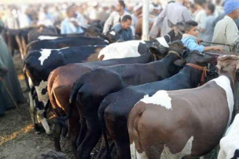 صورة ارشيفية