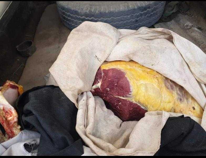 صحة سوهاج: ضبط 2.5 طن أغذية ولحوم غير صالحة للاستهلاك