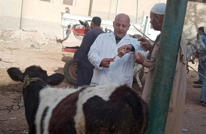 بيطري البحيرة:علاج 164 رأس ماشية في مركز رشيد