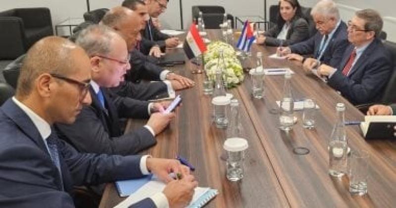 وزير الخارجية يبحث مع نظيره الكوبى تبادل الرؤى بشأن الحرب على غزة