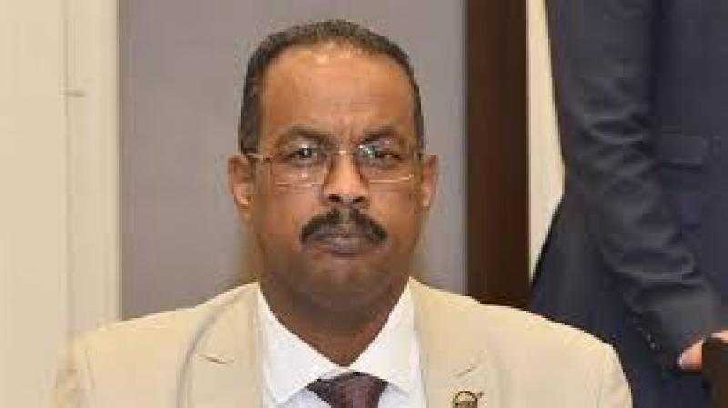 علي نور: رسائل الرئيس خلال مؤتمر الاستجابة الإنسانية الطارئة بالأردن فضحت الاحتلال وحملته مسؤولية القتل والترويع بغزة