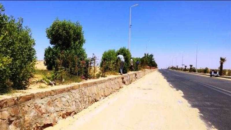وزارة البيئة: تم زراعة أكثر من 12 مليون شجرة خلال عامين